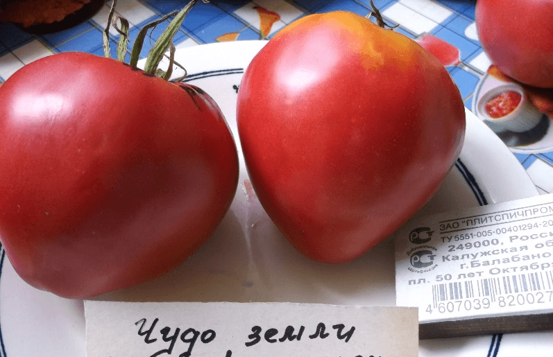 Сорт томатов «чудо света»
