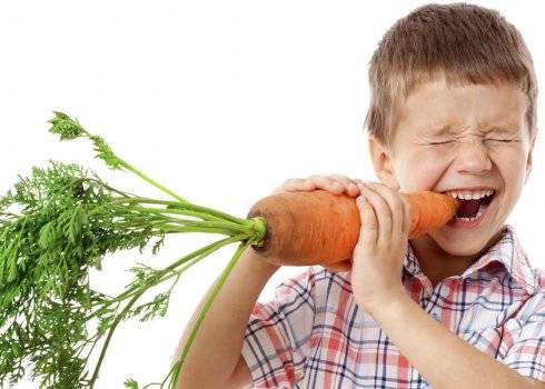 Польза сырой моркови и вред для организма человека: химимческий состав овоща, можно ли есть много свежих корнеплодов, как употреблять