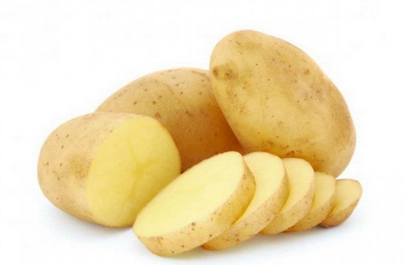 Уладар – сорт картофеля и его характеристики + видео