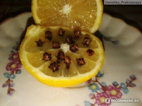 Лимон и гвоздика от комаров - отзывы и описание