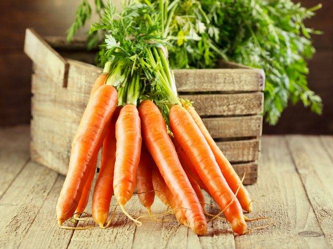 Способы сушки моркови дома