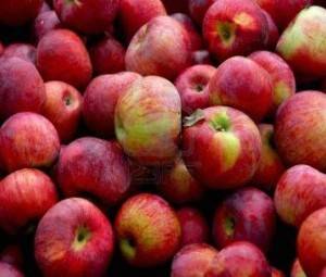 Красные сорта яблок: лучшие разновидности