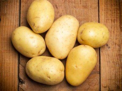 Картофель лабелла: описание и характеристика, отзывы