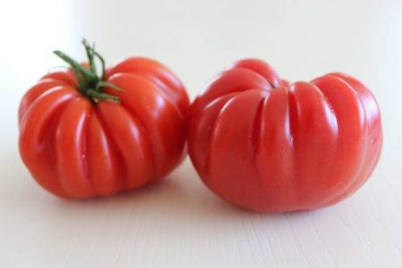 1000 + сортов помидор: список самых известных и популярных с описанием