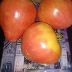 Яркий сорт сибирской селекции: помидоры лентяйка