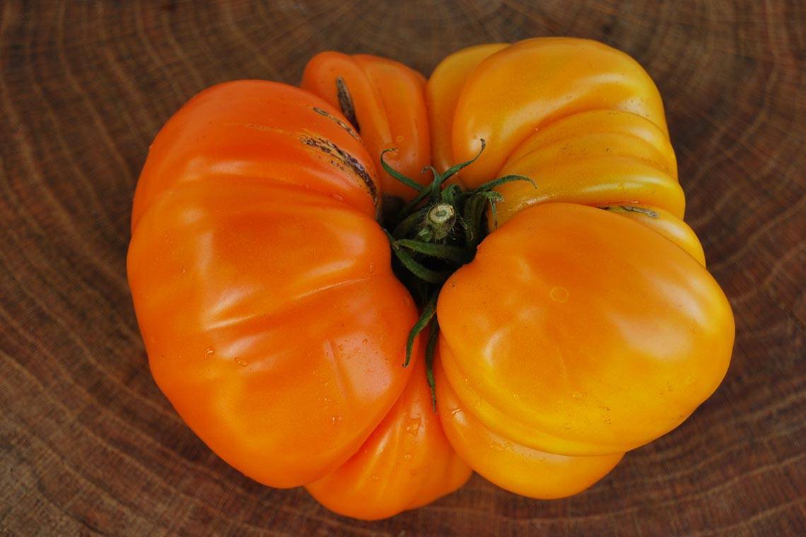 Томат "оранжевое чудо" описание и характеристики сорта больших рыжих помидоров русский фермер