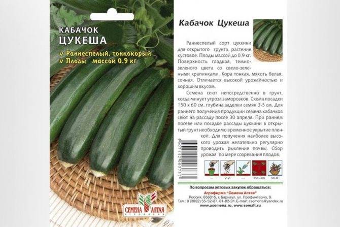 Кабачок диамант f1