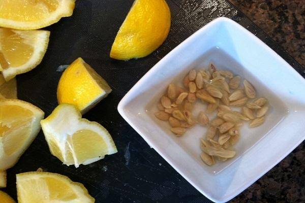 Комнатный лимон в домашних условиях • выращивание и уход