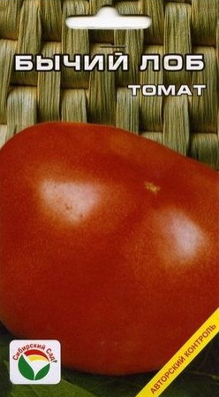 Идеальный сорт для дачников – урожайные помидоры лентяйка
