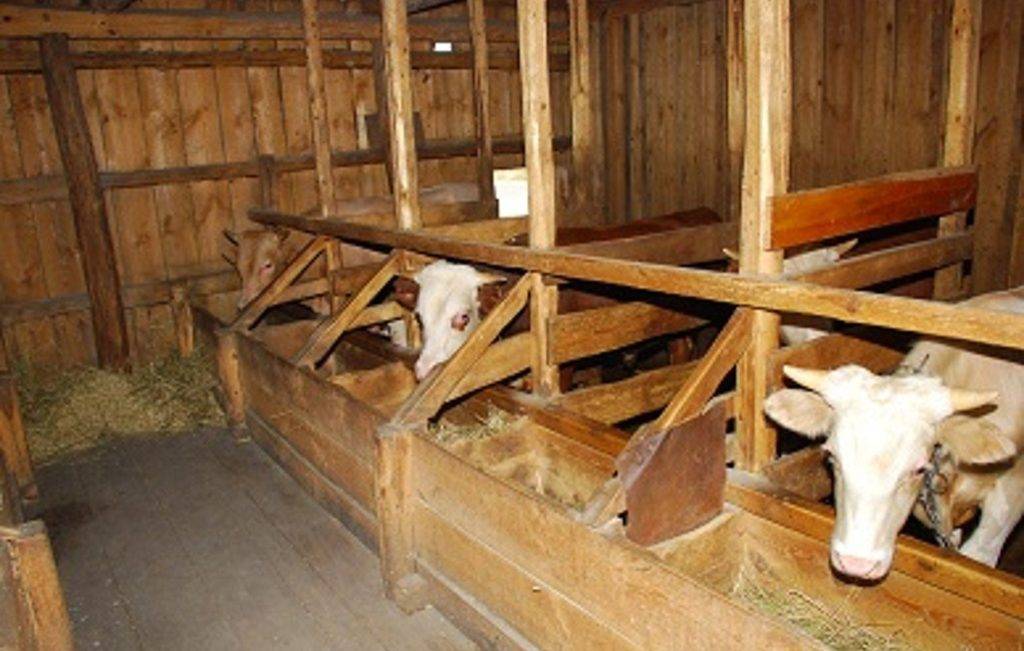 Как построить сарай для быков своими руками — remont-om