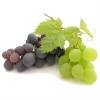 Виноградные листья - описание, состав, калорийность и пищевая ценность - patee. рецепты