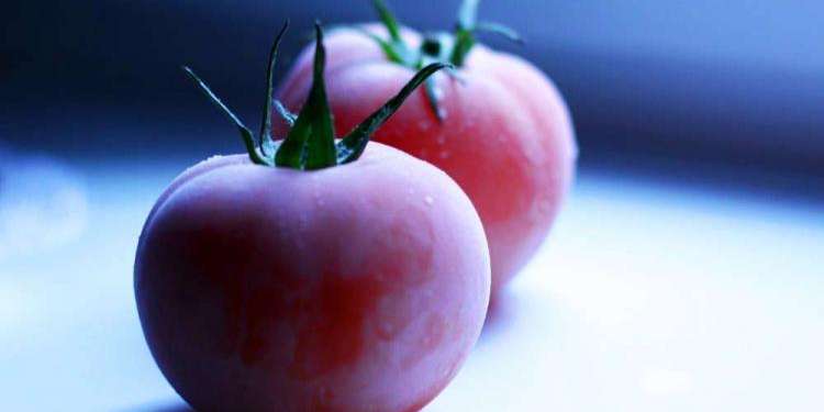 6 интересных идей, как заморозить помидоры на зиму