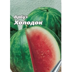 Арбуз холодок