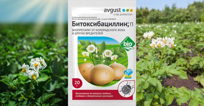 Битоксибациллин