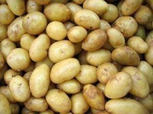 Описание сорта картошки адретта — особенности агротехники