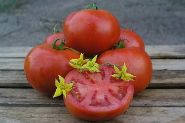 Характеристика и описание сорта томата махитос f1. описание гибридного сорта томатов махитос f1 и выращивание рассады