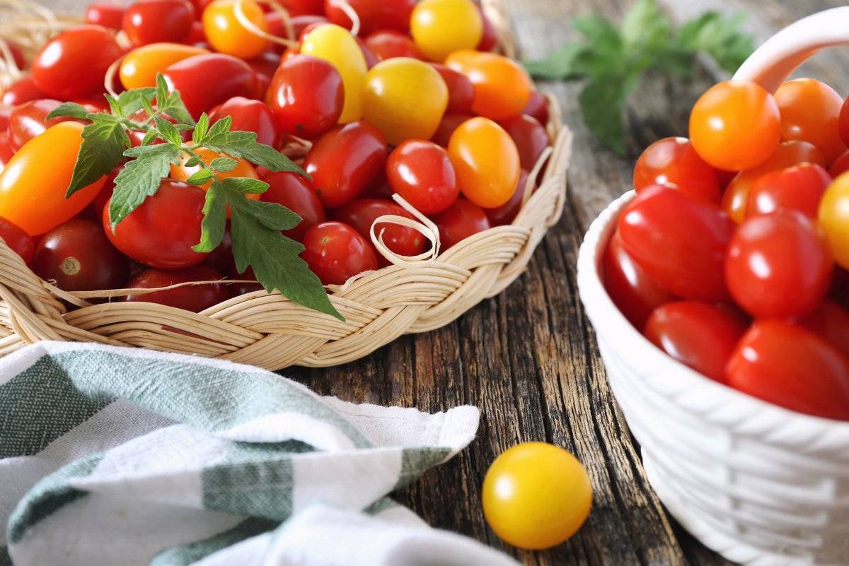 Описание гибрида томатов черри ира с отзывами садоводов