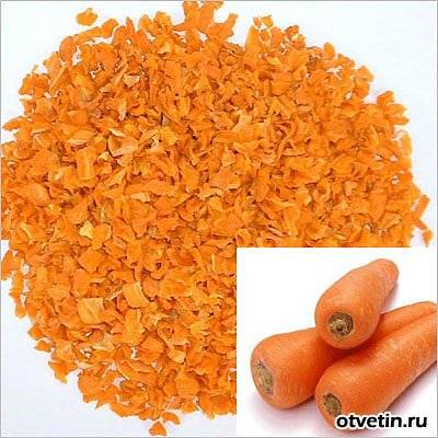 Как правильно сушить морковь: виды и способы сушки