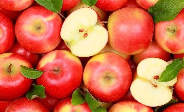 Диагноз по урожаю яблок: что случилось с яблоками? на supersadovnik.ru