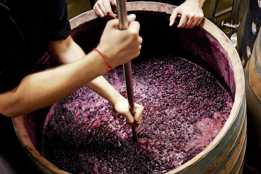 Технология изготовления сухого вина