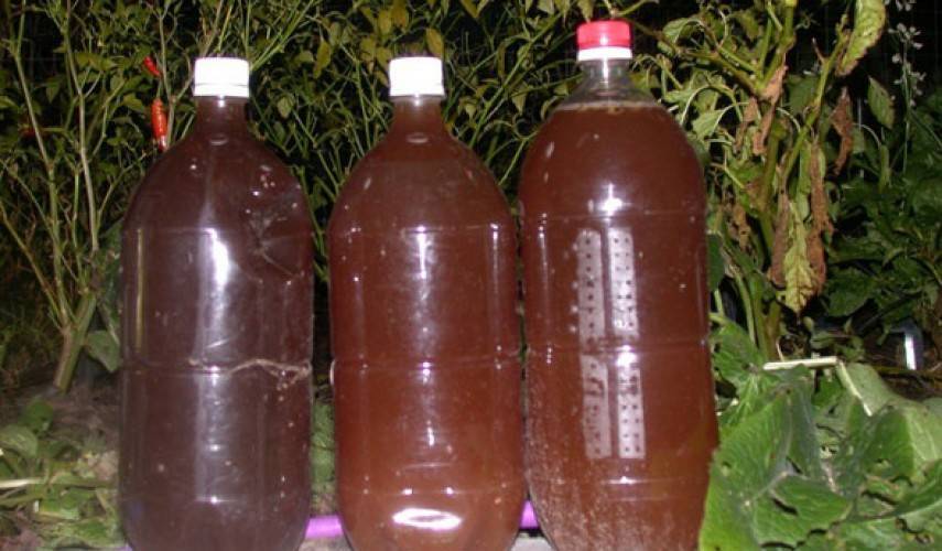 Применение жидкого биогумуса на огороде как удобрения: инструкция по использованию