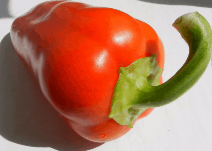 Сладкий перец "богатырь": характеристика и описание сорта