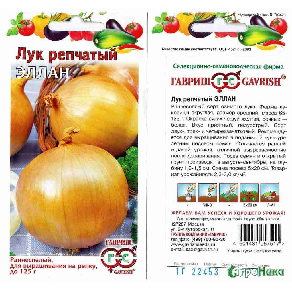 Секреты возделывания ялтинского лука: как правильно выращивать красный крымский сорт? сбор и хранения урожая