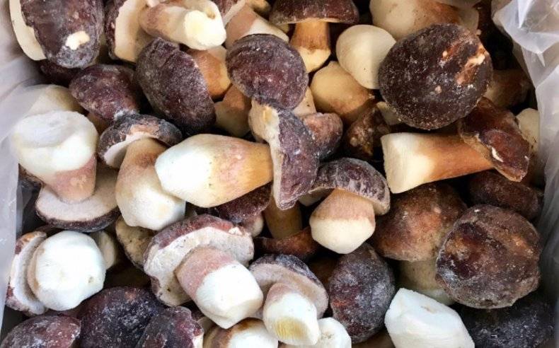 Как заморозить на зиму белые грибы: сырыми, вареными, жареными