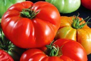 Характеристика сорта томатов Чудо Уолфорда