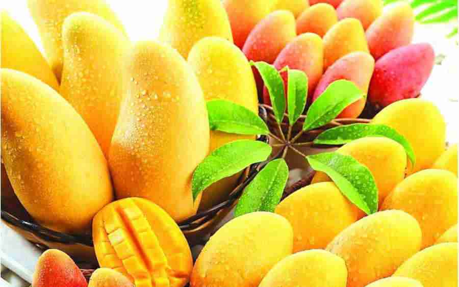 Состав и калорийность грейпфрутов