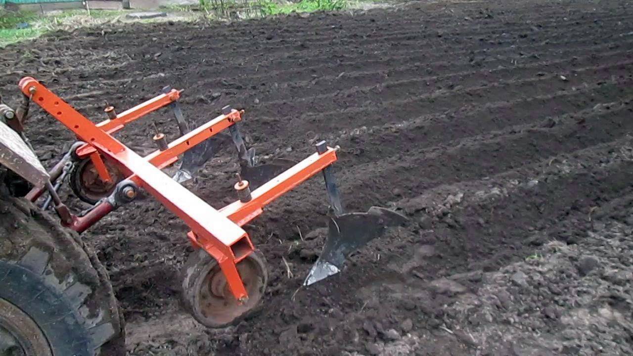 Качественный картофель - влияние техники и технологии при посадке | fermer.ru - фермер.ру - главный фермерский портал - все о бизнесе в сельском хозяйстве. форум фермеров.