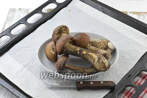 Нужная температура – секрет качественного продукта или как правильно сушить грибы в газовой и электрической духовке
