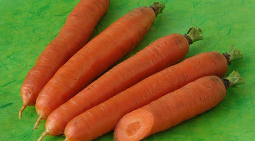 Посадка моркови семенами: при какой температуре, правильный, быстрый посев в открытый грунт, чтобы получить хороший урожай на грядке, удачные советы, лучшие хитрости русский фермер
