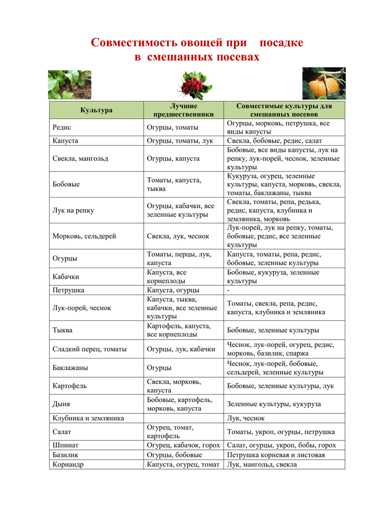 Таблица севооборота овощных культур на огороде