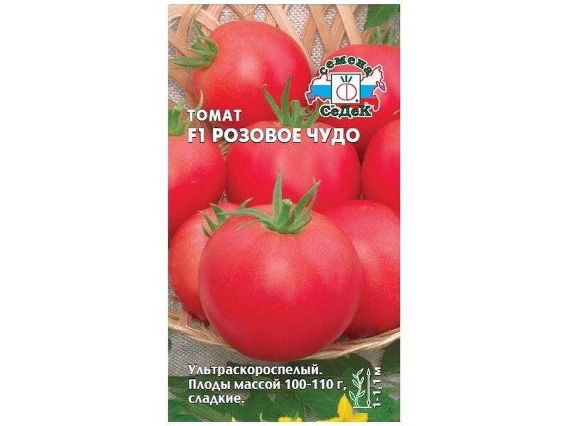 Томат "чудо рынка": описание сорта, характеристики и фото помидора русский фермер