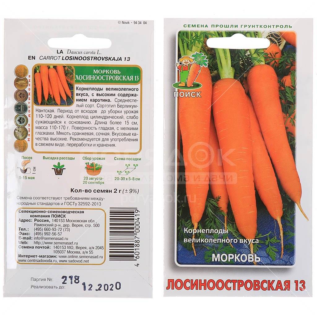 Морковь «лосиноостровская 13»: описание и характеристика сорта, особенности посадки и выращивания, а также сбор урожая, достоинства и недостатки