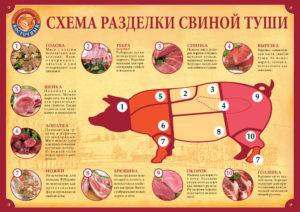 Разделка свиной туши - схема как правильно разделать свинью и названия частей туширазделка свиной туши — подробное описание процесса и частей