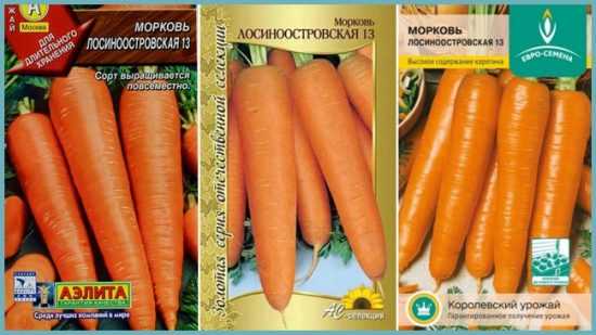Морковь лосиноостровская