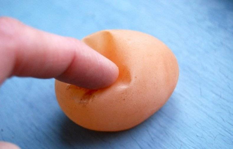 Почему у куриных яиц тонкая скорлупа: причины