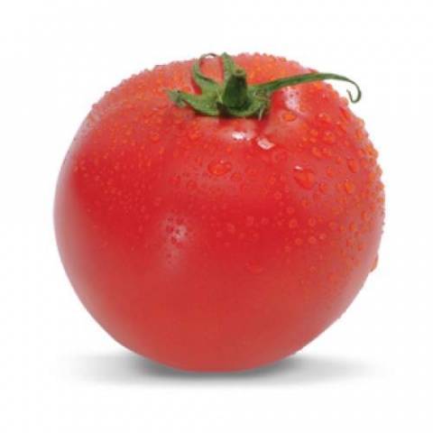 Томат "тайлер" f1 описание гибридного сорта помидоров