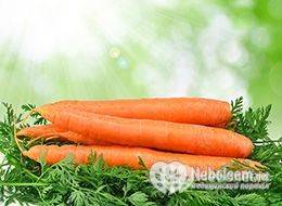 Химический состав и калорийность моркови