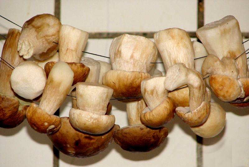 Хранение сушеных грибов в домашних условиях