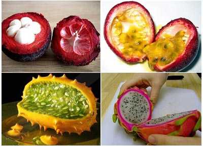 Список основных цитрусовых фруктов