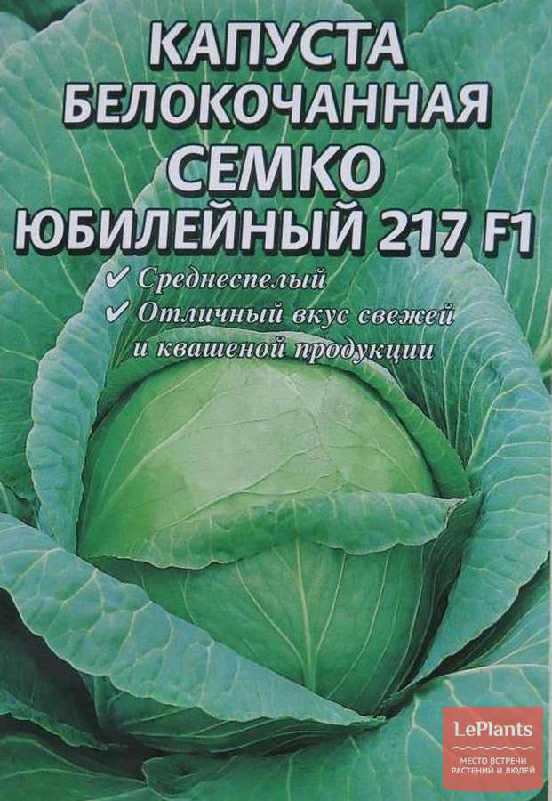 Ранние, средние и поздние сорта капусты для разных регионов россии