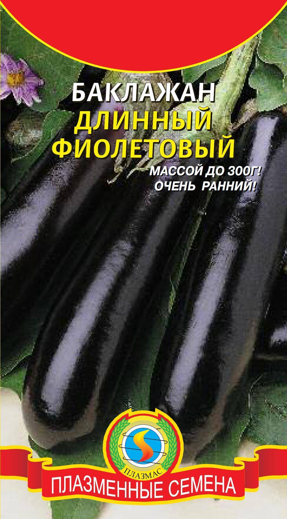 Баклажаны — выращивание и сорта — ботаничка.ru