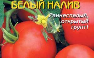 Томат белый налив: отзывы, фото, урожайность, описание сорта