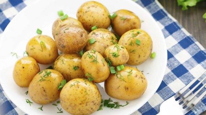 Польза и вред картофеля — 7 фактов о его влиянии на здоровье человека и противопоказания