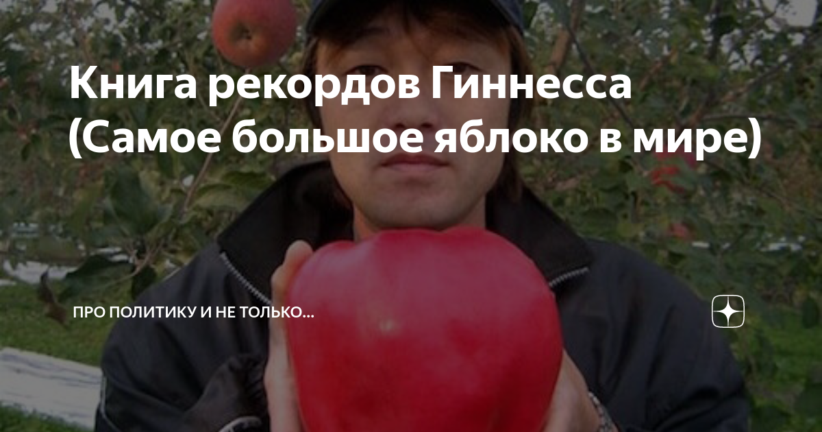 Самое крупное яблоко в мире — сколько весит