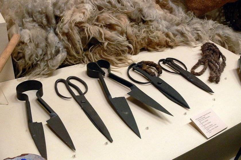 Разновидности ножниц для стрижки овец