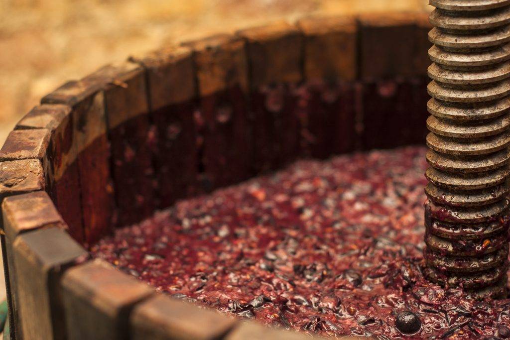 Виноградное сусло: что это, технология приготовления